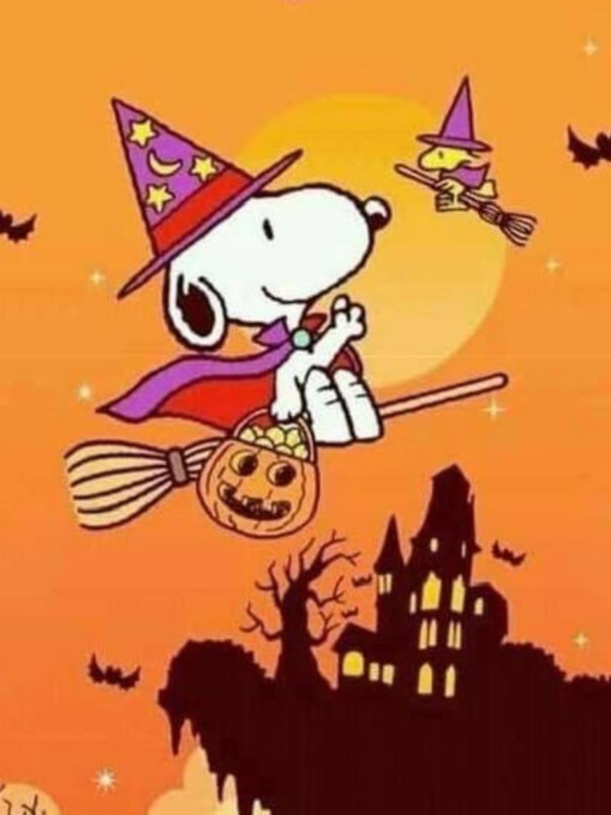 Chest & Arms - Form Day