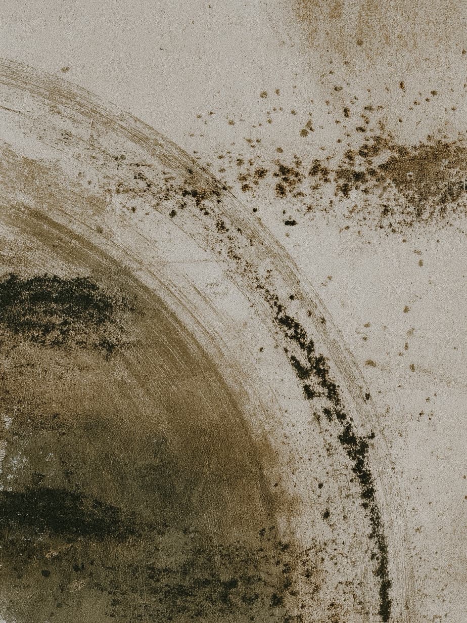 Back & Shoulders - Repeat